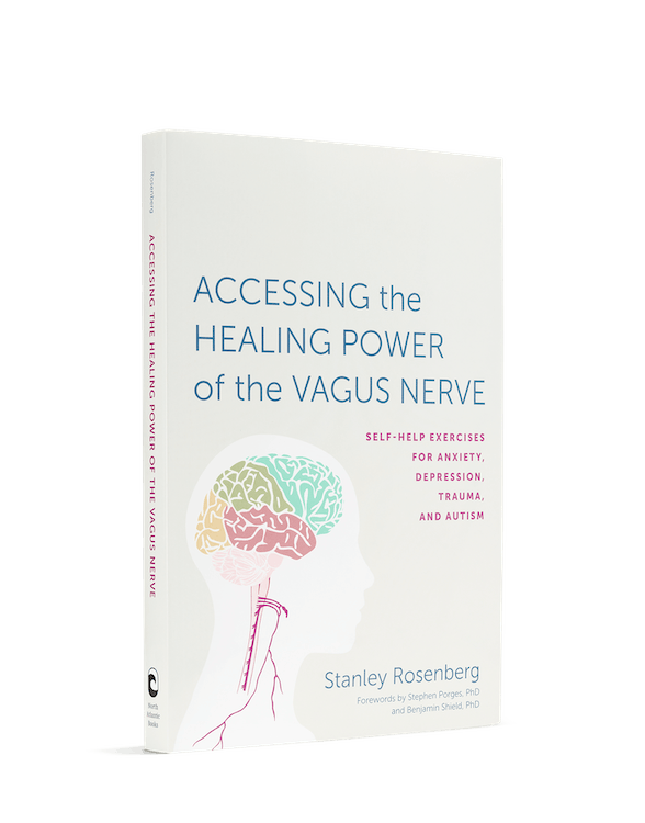 Vagus Nerve Book